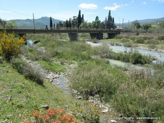 Torrente Saracena